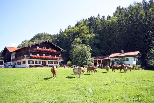 Bauernhof Ertlhof