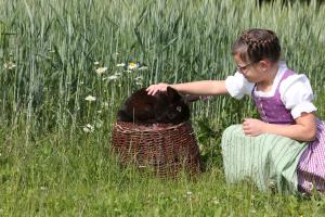 Beim Lenglacher