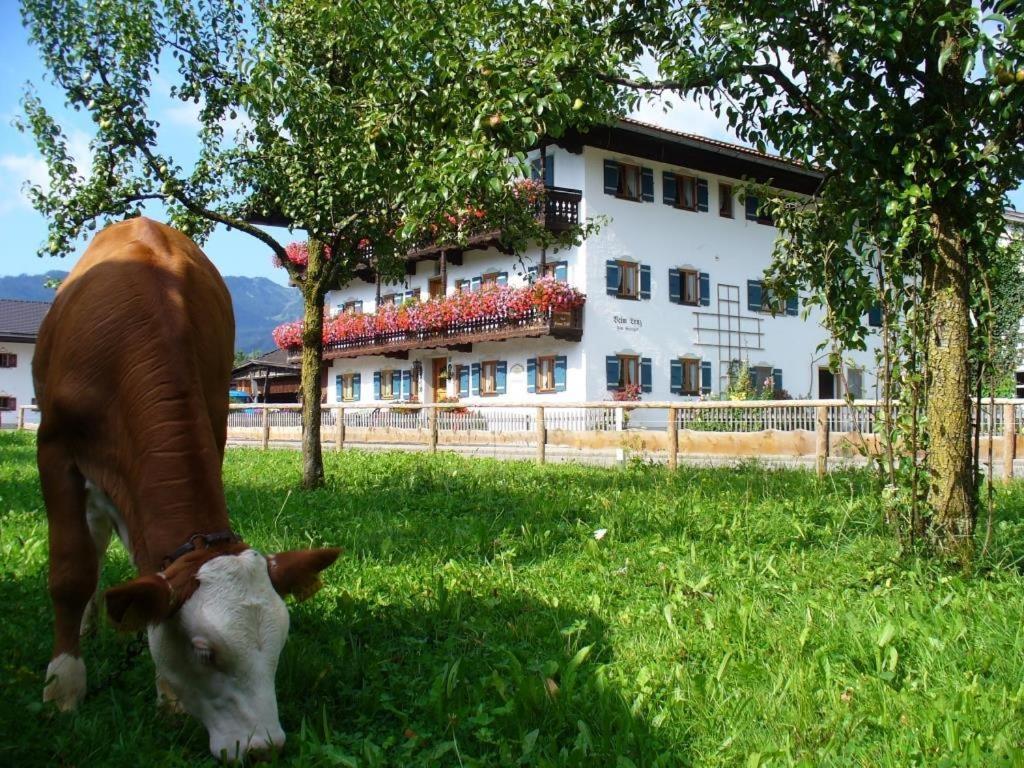 Séjour à la ferme Beim Lenz Raitener Strasse 23 83259 Schleching