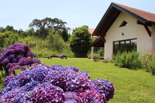 Bio Quinta do Pantano, Agro Turismo