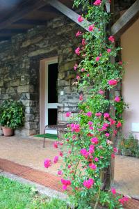 Séjour à la ferme Bio Quinta do Pantano, Agro Turismo Estrada da Fonte de Santo Antonio, N. 61, Casais Proximos 9200-152 Santo da Serra Madère