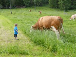 Séjour à la ferme Bognerlehen Bognerweg 9 83483 Bischofswiesen Bavière