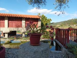 Séjour à la ferme Casa D`Auleira Alvarinha - Grovelas 4980-351 Ponte da Barca Région Nord