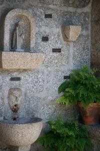 Casa de Pascoaes Historical House