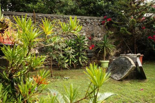 Casa do Pico Arde