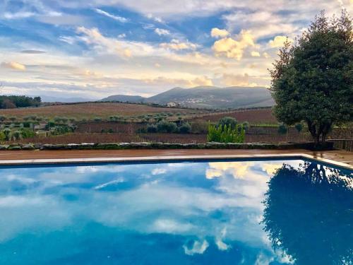 Casa dos Barros Winery Lodge by Vintage Theory