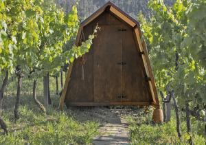 Séjour à la ferme Cimo da Vinha - Nature Spot Rua de Sequeirô de Cima nº 290 4550-694 Castelo de Paiva Région Nord