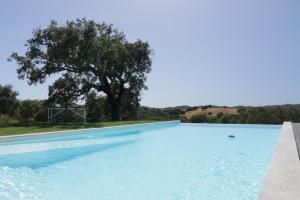 Dias Distintos - Turismo Rural