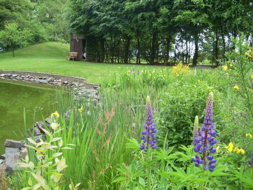 Farm Stay Heidehof