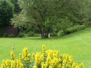 Farm Stay Heidehof