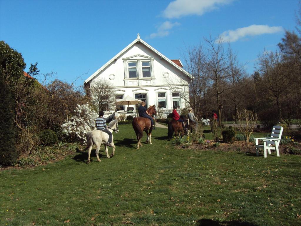 Séjour à la ferme Farm stay Hof auf der Wurp Heike Holthusen Harrierwurp 31 26919 Brake 26919 Harrierwurp