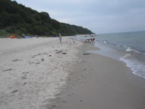 Ferien im Gutspark Schwarbe mit Re