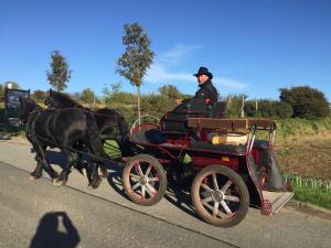 Ferien im Gutspark Schwarbe mit Re