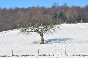 Séjour à la ferme Ferienbauernhof Brandt Bieberauer Straße 23 64397 Klein-Bieberau -1