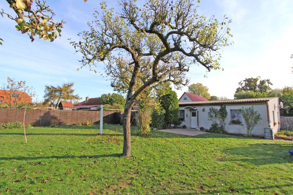 Séjour à la ferme Ferienhaus Liepgarten VORP 1001 Ueckermünder Str. 20 17375 Liepgarten