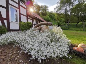 Séjour à la ferme Ferienhof Ehlers 2 Herriehausen 31867 Hülsede Basse-Saxe