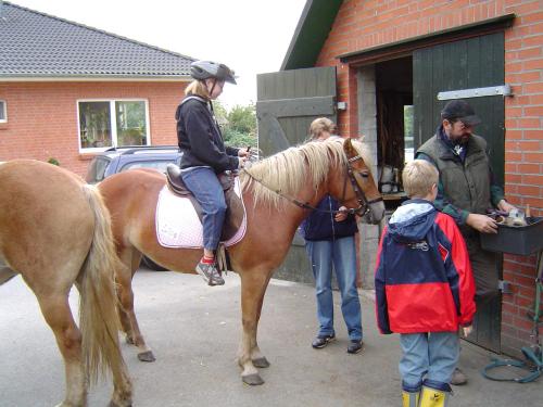Séjour à la ferme Ferienhof Roge Schulweg 7-9 23730 Roge Schleswig-Holstein