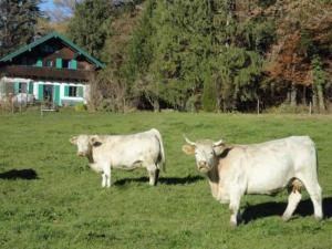 Séjour à la ferme Ferienwohnung Heitauer Alte Dorfstraße 21 83355 Grabenstätt Bavière