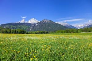 Séjour à la ferme Ferienwohnung Triembachhof Alte Königsseer Straße 12 83471 Schönau am Königssee Bavière