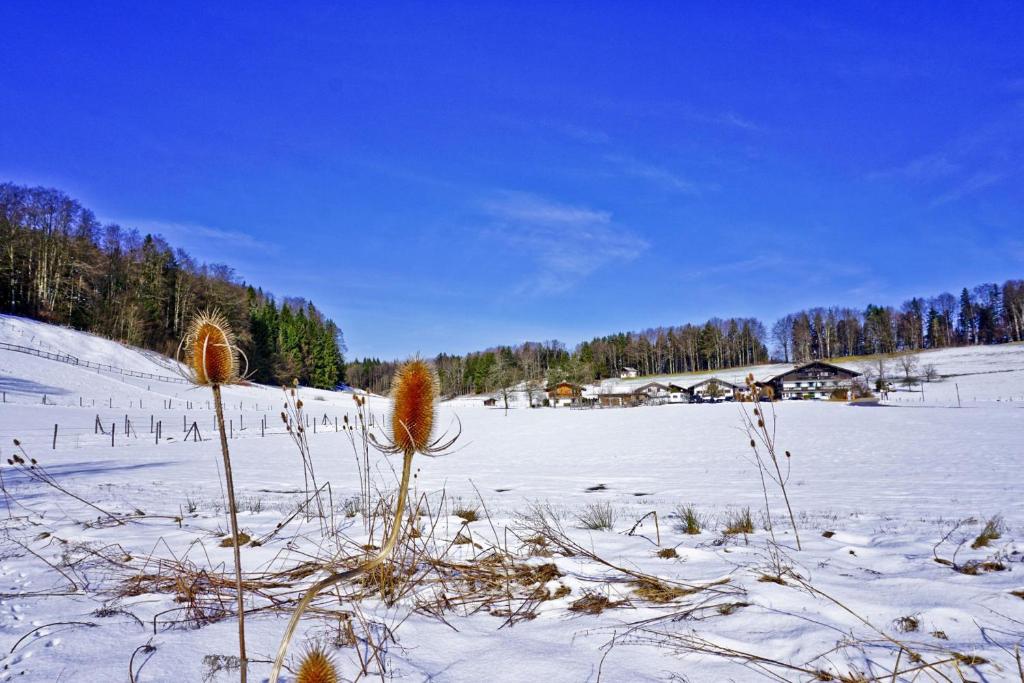 Séjour à la ferme Ferienwohnungen Wanderparadies Bauernhof Hintergschwendt 7b 83229 Aschau im Chiemgau