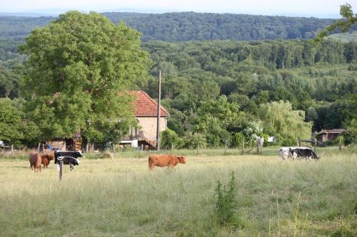 Ferme Pédagogique \