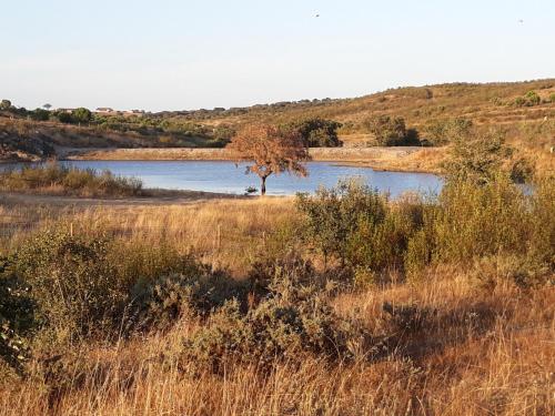 Herdade dos Mestres