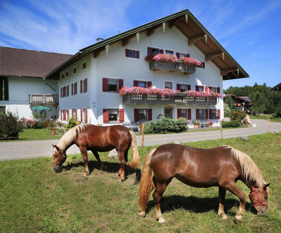 Séjour à la ferme Heutauer Hof Heutauer Straße 1 83313 Siegsdorf