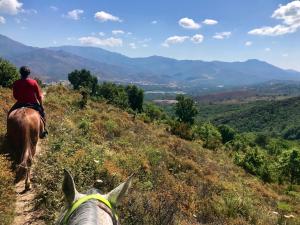 Séjour à la ferme L'Albadu Route du Calvaire 20250 Corte Corse