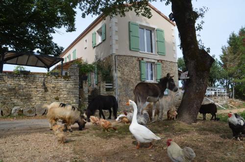La Ferme Des Vergnes