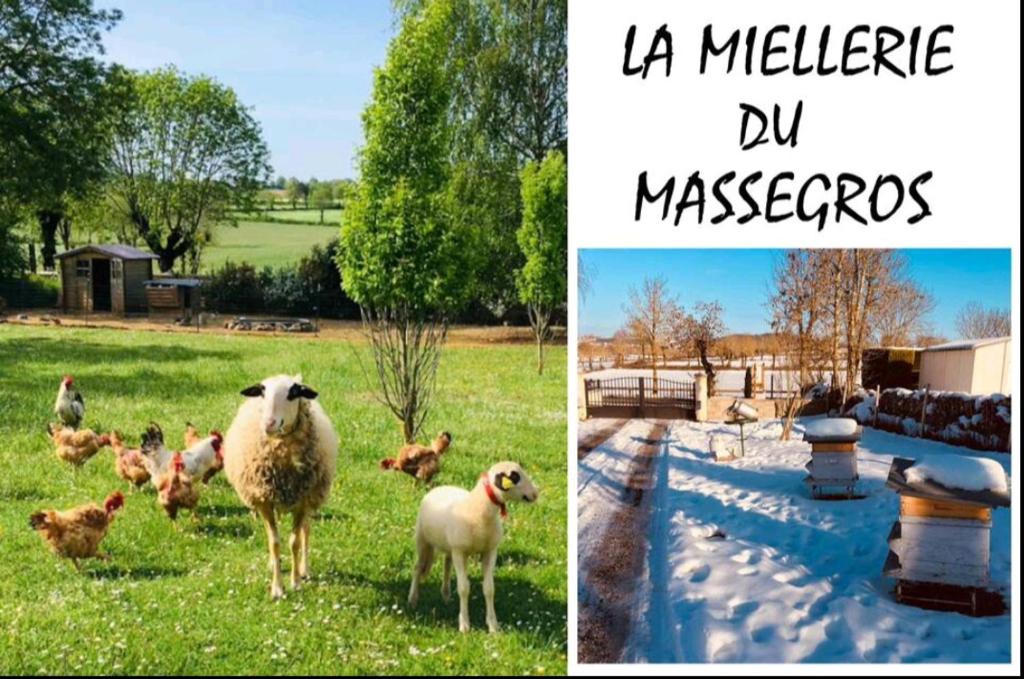 Séjour à la ferme La Miellerie du Massegros Puech de la Combe 48500 Le Massegros