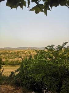 le vieux mas du domaine de Pontet-Fronzele