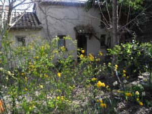 le vieux mas du domaine de Pontet-Fronzele
