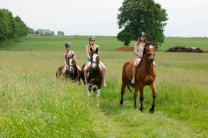 Moierhof Der Ferienbauernhof am Chiemsee