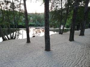 MONDALVA - GUEST HOUSE