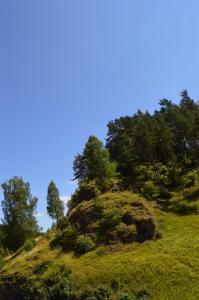 Natur-Aktiv-Hof Thiem