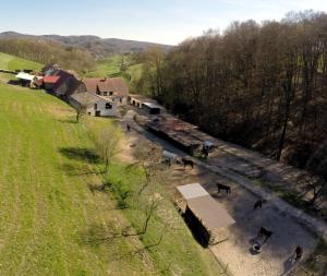 Séjour à la ferme Pferdehof und Wanderreitstation Dörsam Bettenbach 75 69509 Mörlenbach Bade-Wurtemberg