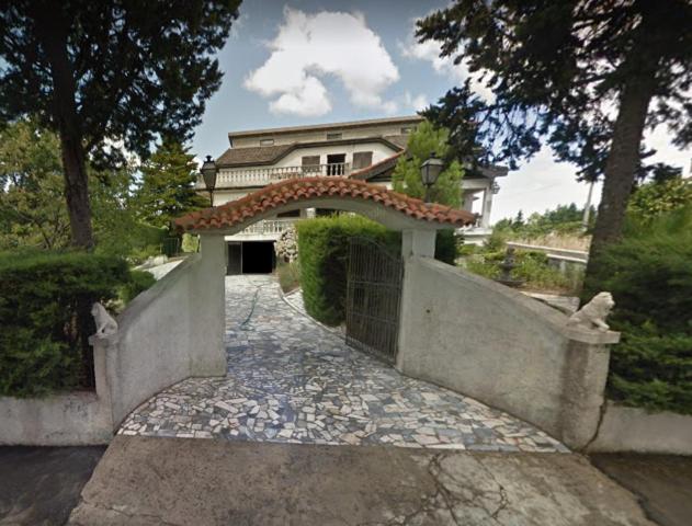 Pinheirinhos - Quinta de São Caetano Rua Abade Melo e Sá 16, 3570-100 Carapito