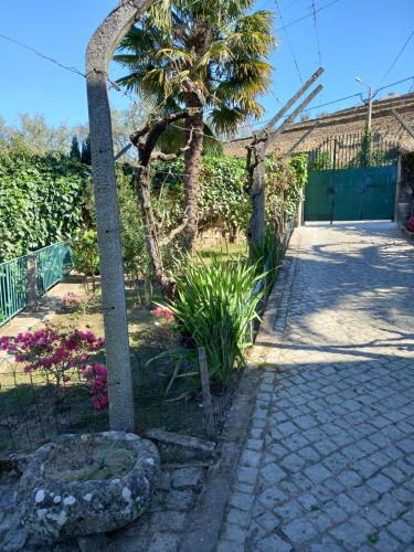 Quinta Casa Do Quintal