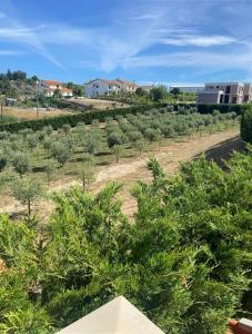 Quinta da Cortelhinha Turismo Rural