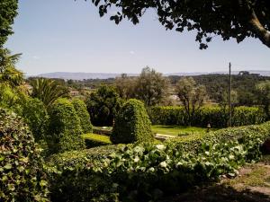 Quinta da Fata