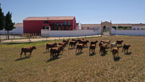 Quinta da Gafaria