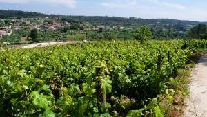Quinta da Serrana
