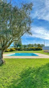 Séjour à la ferme Quinta da Tapada de São Pedro 372 Estrada Nacional 7040-669 Vimieiro Alentejo