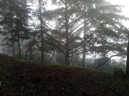 Quinta das Aveleiras