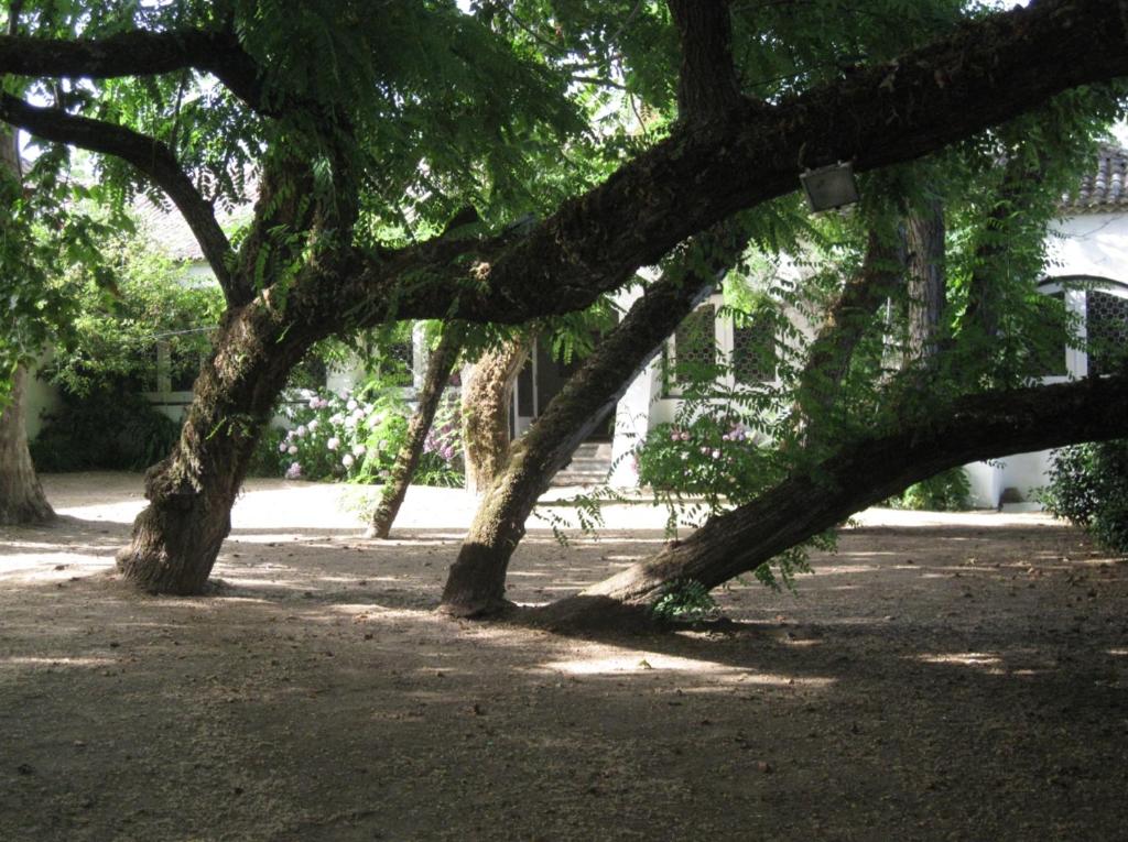 Séjour à la ferme Quinta de São José Quinta de São José 2590-274 Sobral de Monte Agraço