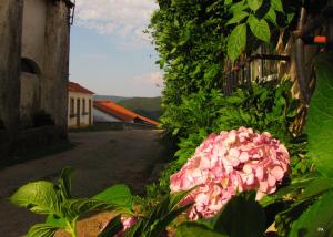 Quinta do Cerquito