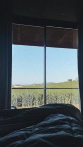 Quinta do Doutor