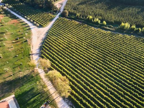 Quinta do Porto Nogueira by Romana Vini - Adults Only