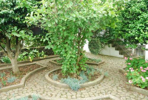 Quinta dos Figos \