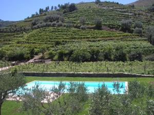 Séjour à la ferme Quinta Madureira 1 Vilarinho De Tanha 5000-011 Alfolões Région Nord